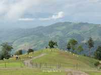 🌿 Akha Farm ดอยช้าง – ฟาร์มแกะสุดอบอุ่น 🐑
