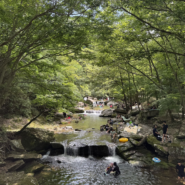 전북 순창 가볼만한곳 강천산군립공원