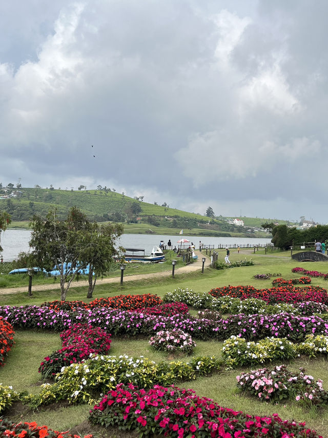 🌄 Gregory Lake, Nuwara Eliya — A Misty Highland Escape