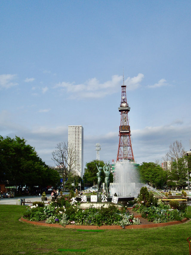 🌳 Serenity at the Heart of Sapporo – Odori Park