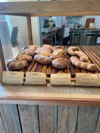🍞🥪부산 교대 베이커리 카페 카페고온