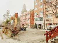 Alishan Explore 