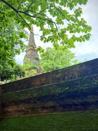 Into the Forest Temple: Discover Peace at Wat Umong