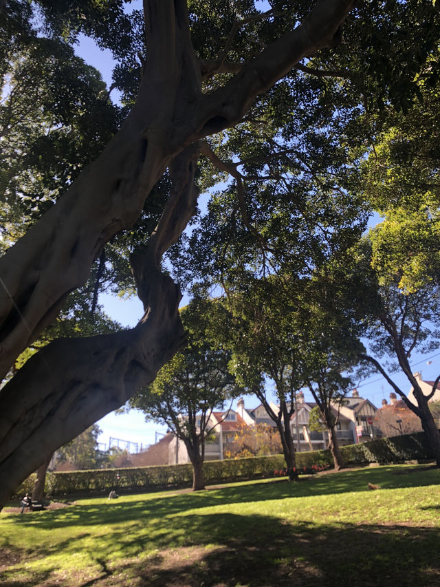 하버브리지 뷰 명당! Clark Park 피크닉 리뷰