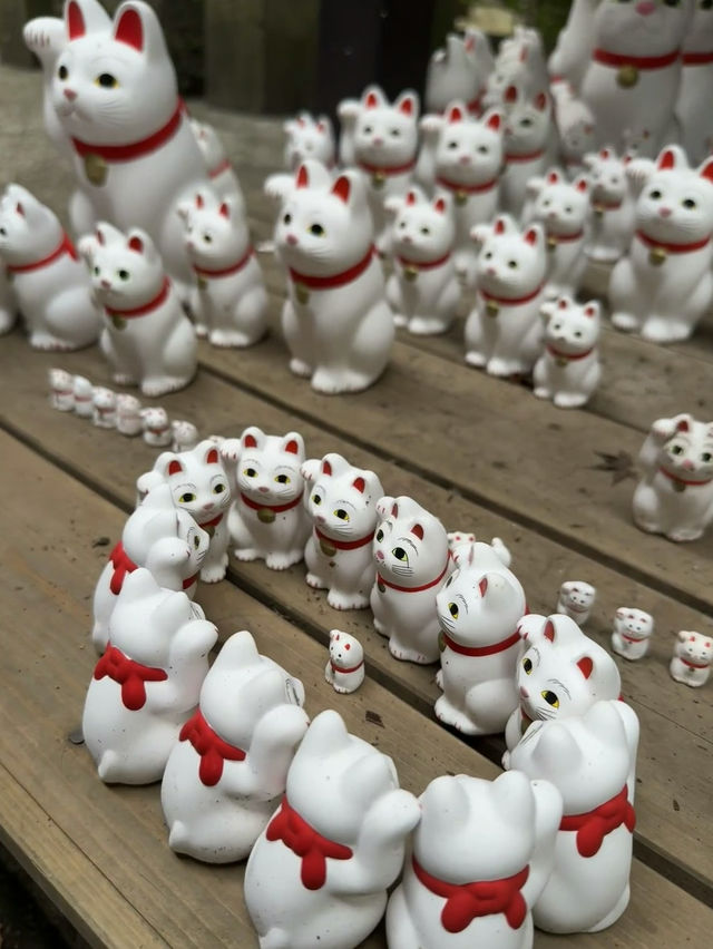 🇯🇵 Tokyo Hidden Gem – Gotokuji Temple, the Lucky Cat Paradise! 🐱📍