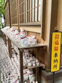 🇯🇵 Tokyo Hidden Gem – Gotokuji Temple, the Lucky Cat Paradise! 🐱📍