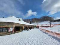 北海道必訪：札幌市郊四季皆宜的親子樂園-瀧野鈴蘭丘陵公園