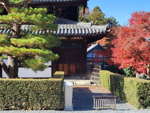京都紅葉名勝：東福寺