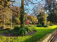 Leafy Stroll at Parque da Alameda