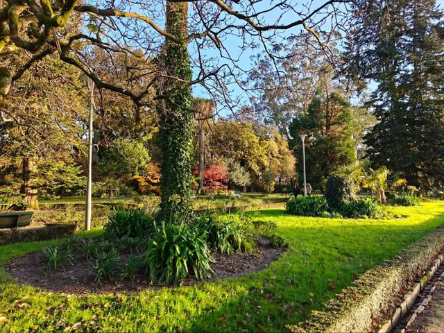 Leafy Stroll at Parque da Alameda