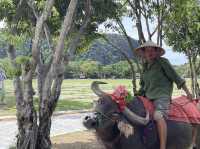 Embrace Serenity in Ninh Binh: Vietnam's Underrated "Halong Bay on Land"! 🏞️