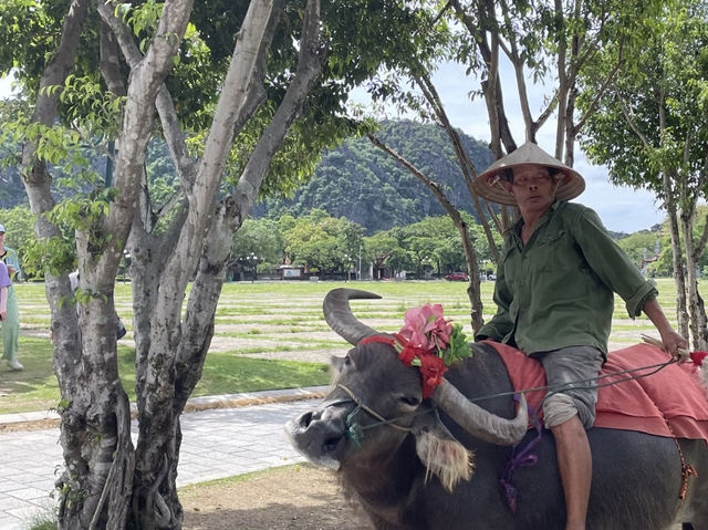 Embrace Serenity in Ninh Binh: Vietnam's Underrated "Halong Bay on Land"! 🏞️