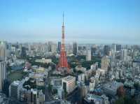到東京怎能不到東京塔🗼