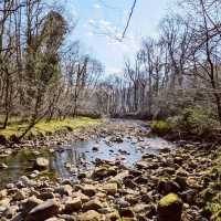 Brock Bottom River