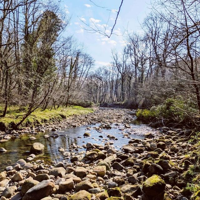 Brock Bottom River