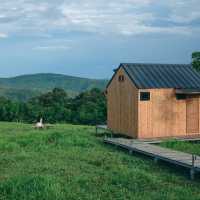 Hillbilly Farm 