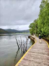 來去有風的地方｜雲南～「香格里拉～普達措國家公園」
