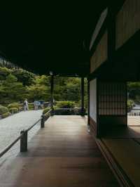 【天龍寺】心を整える禅の世界🌿嵐山の静寂に包まれる癒しの時間
