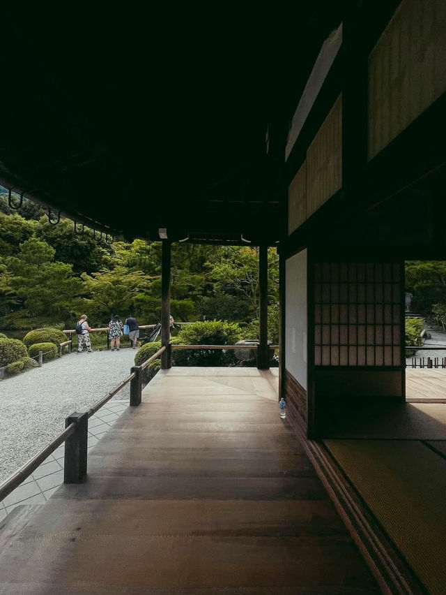 【天龍寺】心を整える禅の世界🌿嵐山の静寂に包まれる癒しの時間
