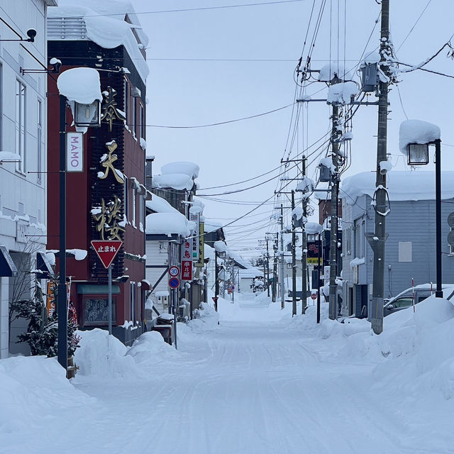 Winter Wonderland indeed!