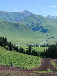 A Memorable Return Journey from Fairy Lake Horseback Riding Trip