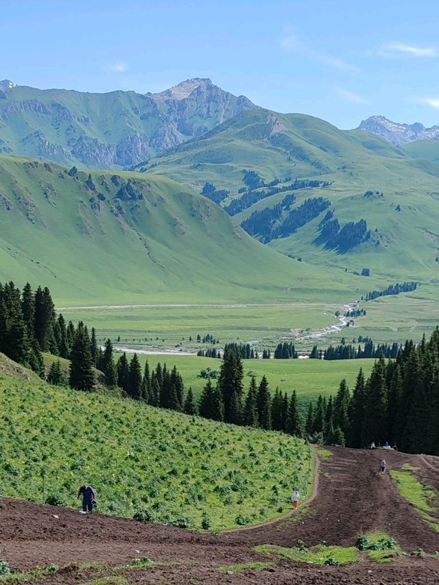 A Memorable Return Journey from Fairy Lake Horseback Riding Trip