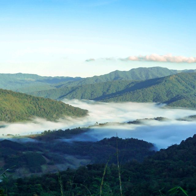 🏕ไป Camping ที่อุทยานแห่งชาติภูสวนทรายกันค่ะ