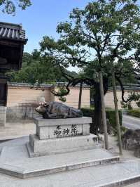 Guide to be able to take pictures of Dazaifu Shrine without the crowd!