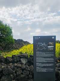 Scenic Views of the Ocean and Surrounding Landscape