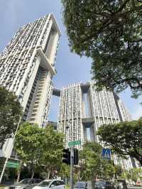 Wandering Through Everton Park: Where Roosters Roam And Shophouses Glow