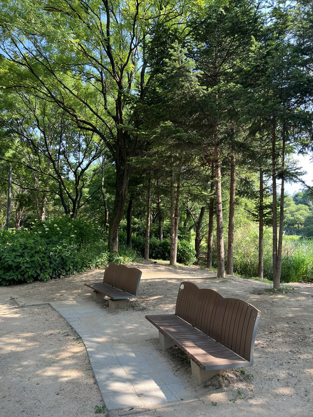 서울숲의 휴식공간