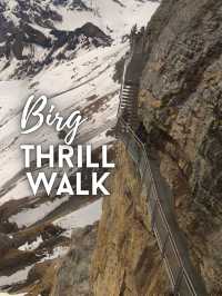 😱Thrill walk at Birg