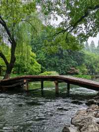 Prince Bay Park After Rain – Hangzhou’s Misty Wonderland