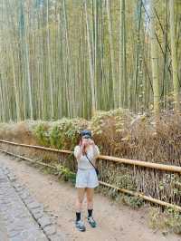 여름에도 좋은 일본 여행지 🇯🇵🌳