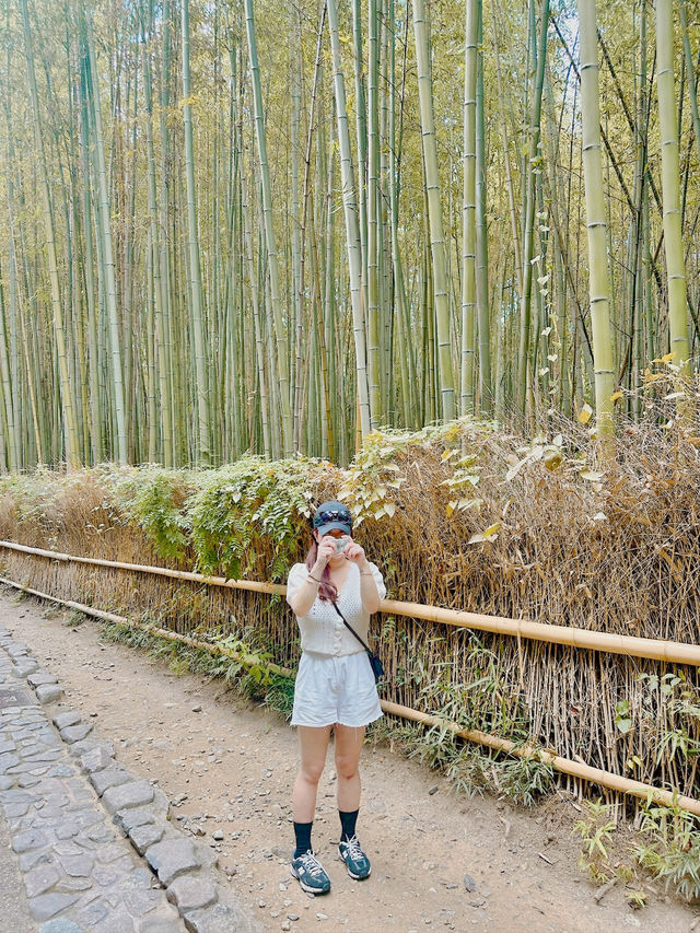 여름에도 좋은 일본 여행지 🇯🇵🌳