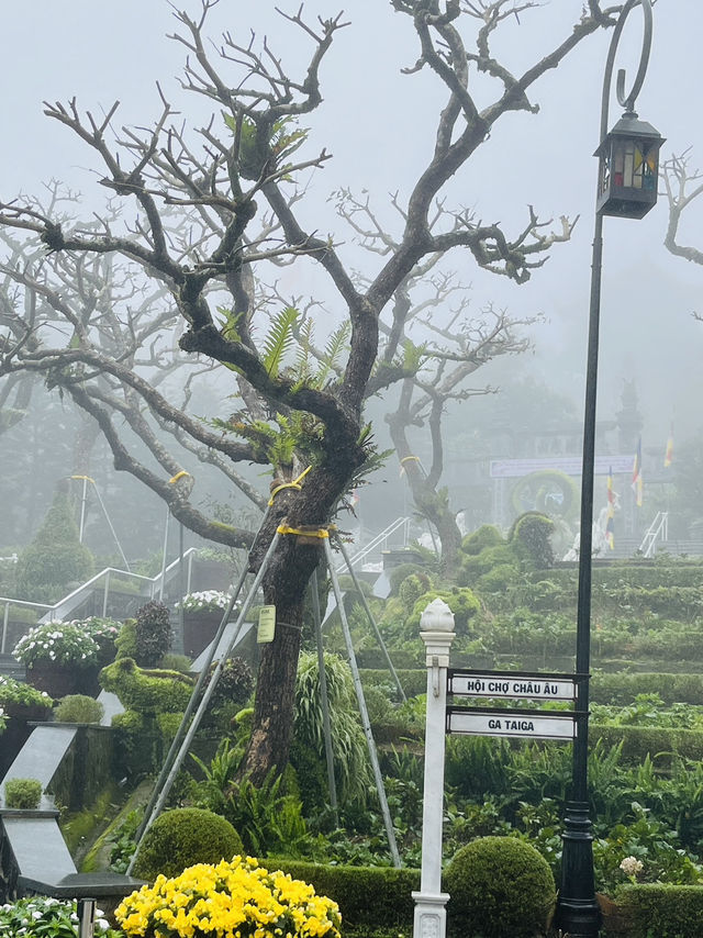 🌧️ Mist, Rain & Magic on Ba Na Hills – Danang’s Dreamlike Mountain