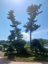 숲길 위의 산책, 진주 수목원