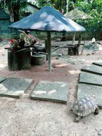 Zoo Negara Malaysia: Perfect Weekend Wildlife Adventure with Kids