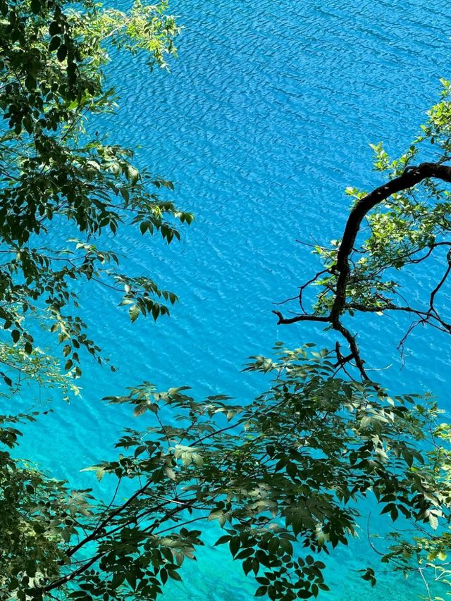 Jiuzhaigou Wonders: Beautiful Nature’s Masterpiece in Sichuan