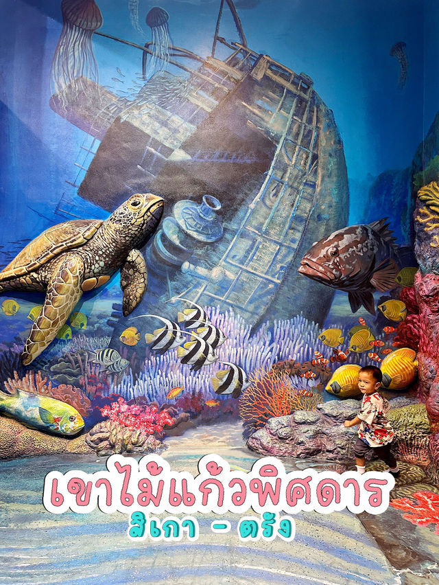 เขาไม้แก้วพิศดาร
