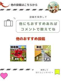 【関東】夏は家族と花火大会8選🎆8月2日にたくさんあるよ📸🎇