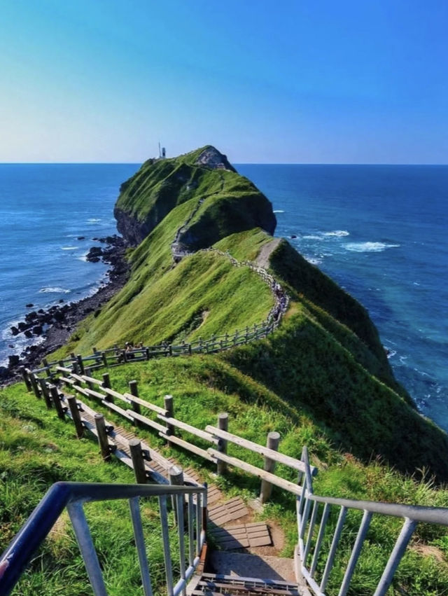 🇯🇵 解鎖神威岬海岸線小樽秘境一日攻略  🇯🇵 解鎖神威岬海岸線小樽秘境一日攻略