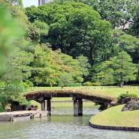 【東京/駒込🇯🇵】四季折々の幽玄なる美の世界✨六義園