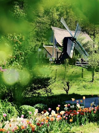 Netherlands Open Air Museum | Hop on the tram to summer.