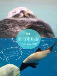 夏は涼やかな水族館へ🐬また行きたくなる水族館！