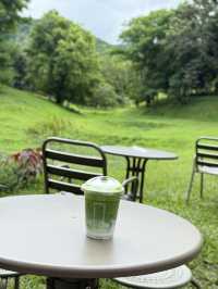เที่ยวเชียงใหม่ฟิลธรรมชาติ Rachel coffee&community