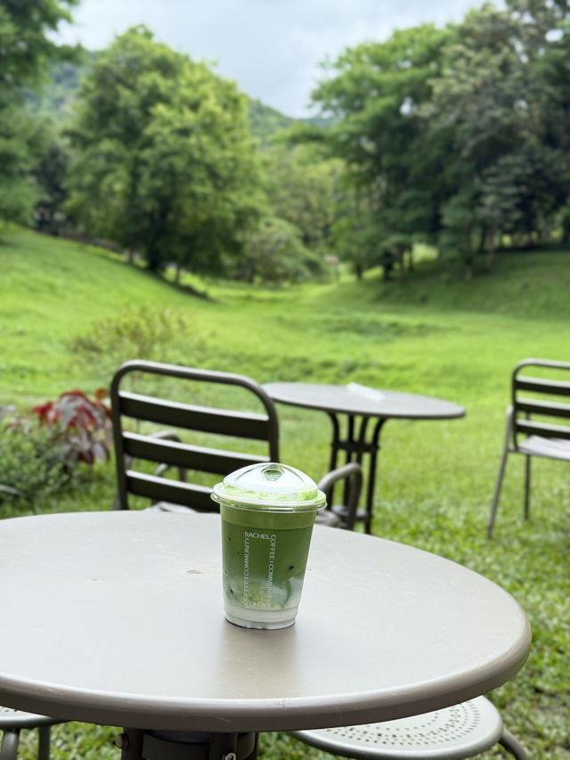 เที่ยวเชียงใหม่ฟิลธรรมชาติ Rachel coffee&community