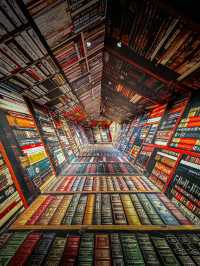 📚 Shaanxi Provincial Library – Xi’an’s Historic Cultural Hub