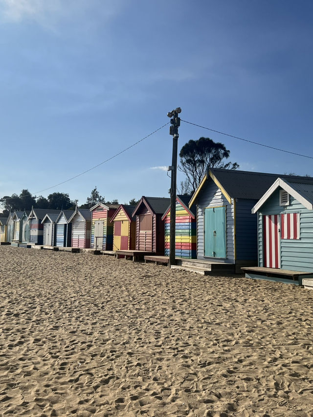 【墨爾本必訪景點】布萊頓海灘彩色小屋——海邊的童話彩虹 (Melbourne Brighton beach) 【墨爾本必訪景點】布萊頓海灘彩色小屋——海邊的童話彩虹 (Melbourne Brighton beach)