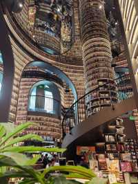 Reading in Wonderland: Why Zhongshuge Is So Addictive